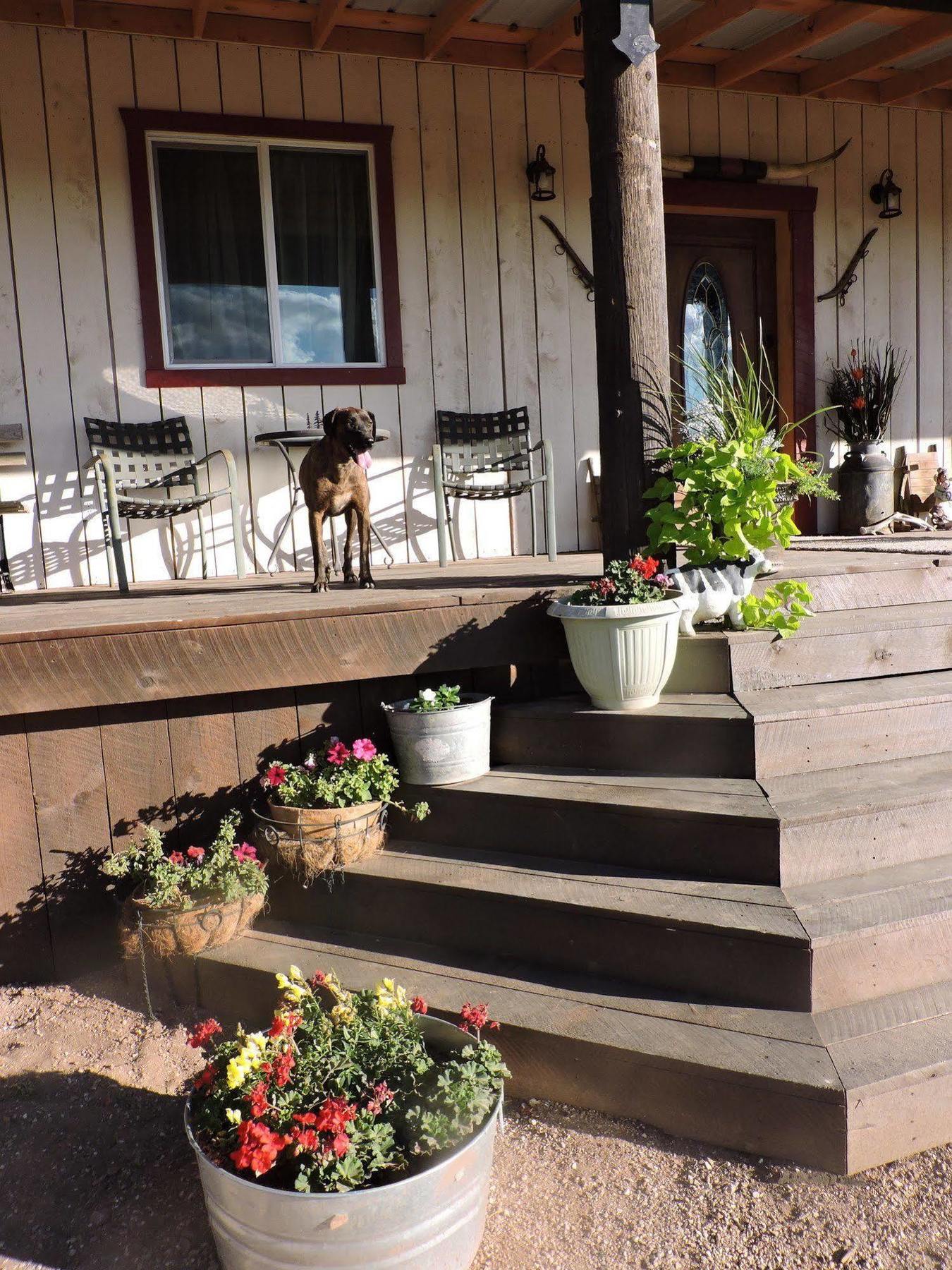 Grand Canyon Ranch & Outfitters Hotel Fredonia Exterior foto